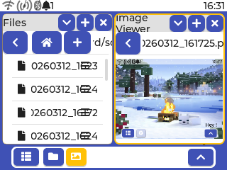 Image Viewer side by side with Files App